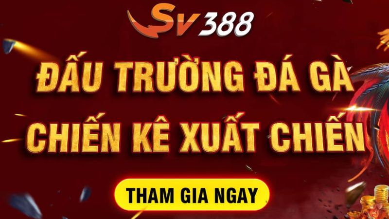 Tìm hiểu lí do vì sao SV388 đá gà tốt nhất Việt Nam?