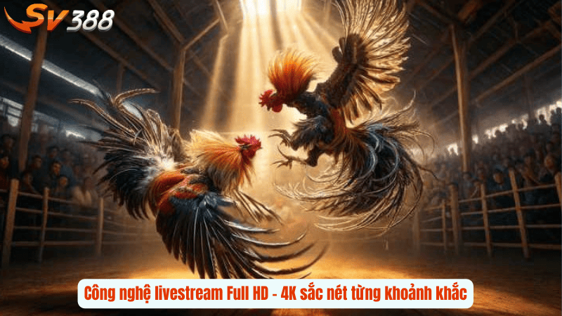 Công nghệ livestream Full HD – 4K sắc nét từng khoảnh khắc